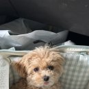 길주로594번길 이미지