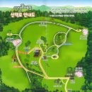 풍전목장 | 강원도 봄여행 (양떼목장 vs 삼양목장 vs 하늘목장) 비교 후기