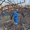 김포시농업기술센터 이미지