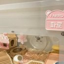 반짝반짝 - 고양시 일산동구 일산로463번길 51-2 | 반짝반짝