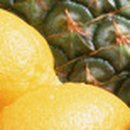 커피바리스타(2급)Ⅱ 이미지