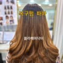 올라헤어닥터