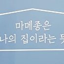 마메종 헤어 네이버블로그