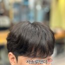 리안헤어산곡더루츠