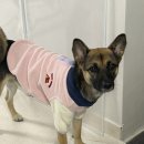 헤이사랑치과의원 이미지