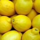 레몬 이미지