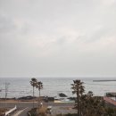 장터옛날통닭함덕점 | 제주도 2박3일 여행 2일차(새별오름, 새별프렌즈, 용머리해안, 오설록, 협재, 함덕 등)