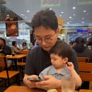 로이팜 | [여행기록] 30개월 아기랑 보홀여행; 경산모 태교여행, 아기랑 해외여행, 보홀비치클럽, BBC, icm몰...