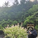 산울림매점