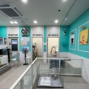 뭉스파 | [여수애견미용] 뭉스파 24시간 여수애견셀프워시 이용 후기