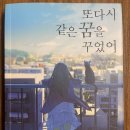 판치 | 행복은 스스로 선택하는 것—『어쩌다 또다시 같은 꿈을 꾸었어』일본소설 후기