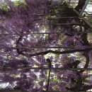 죽전동 행정복지센터 이미지