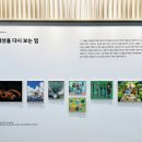 (사)열린정보장애인협회 이미지