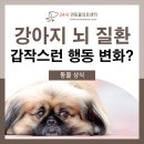 24시연동물의료센터 이미지