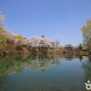 삼성관광여행사 - 남구 군분로148번길 3 | 삼성관광여행사