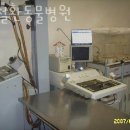 박철환동물병원 이미지