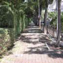 느티공원 이미지