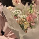 웨더북 | 웨더북 | 마음에 쏙 들었던 과천 꽃집 웨더북 내돈내산 후기