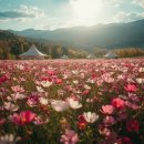 코스모스 산업 이미지