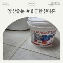 라이크푸드 | 양산 물금한신더휴 아파트 스타라이크에보 욕실 무펄 줄눈 시공