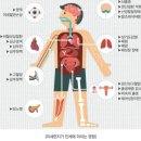 현재 재난 수준이라는 초미세먼지.jpg 이미지