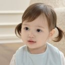 캔디즈 이미지