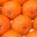 계산농장 이미지