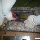 장원골프연습장 이미지