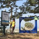 몽산포 해변 이미지