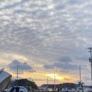 골드오션 이미지