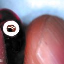 굿모닝보청기 이천센터 이미지