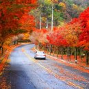 팔공산왕건길 8코스 이미지