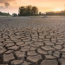 나루고교 이미지