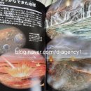 [Tour] 일본국립과학박물관 도슨트후기-상상의 벤치 이미지