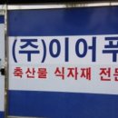 인천마전초등학교 네이버블로그