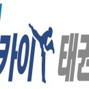 용인대스카이태권도 이미지