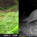 문헌공원 이미지