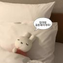 모아가꼬