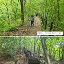 제887회차 7/16 정읍 입암산 갓바위(641 m)산행 예약 신청 이미지