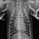 구름동물병원 이미지