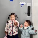 애니메하우스