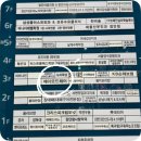 프링헤어 | 검단신도시미용실 에이모드헤어에서 프링펌 받고 온 솔직후기