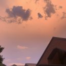 피콕빌리지 이미지