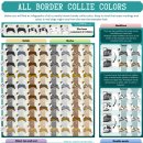 디스크 독 연구소 이미지