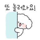 몽냥몽냥 강아지분양 고양이분양 김포점 이미지