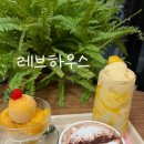 함백로 | 정선_ 분위기 좋은 신상카페 레브하우스 내돈내산 후기
