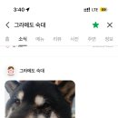 그라메도