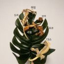 농업회사법인 다벅스 이미지