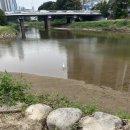 상천카서비스 | [10월 일상] 도우심 구하는 한 달🙏