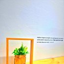 왕십리제2동작은도서관 이미지